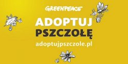 Chcesz je�� mi�d, jab�ka, truskawki czy gruszki? Adoptuj pszczo��