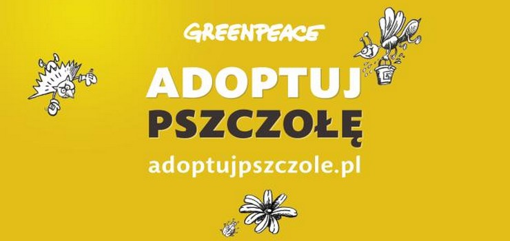 Chcesz jeść miód, jabłka, truskawki czy gruszki? Adoptuj pszczołę