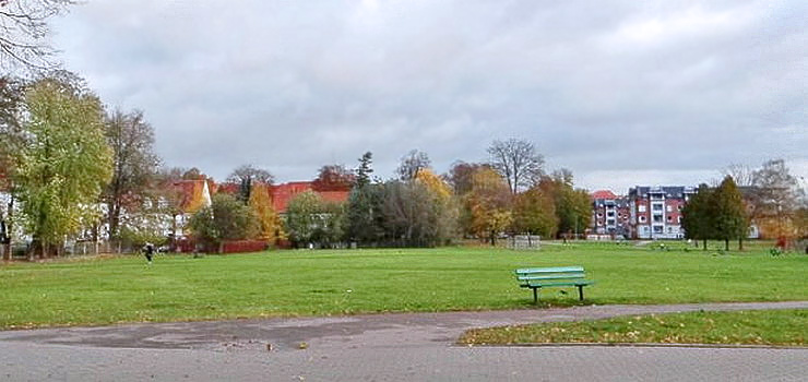 Znalazła się firma, która zieleniec na Mickiewicza chce uczynić bogatszym