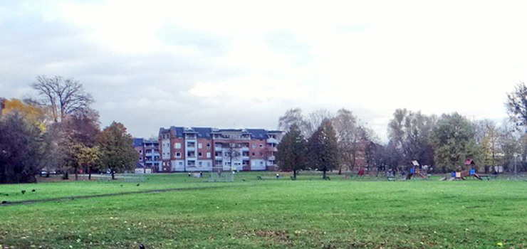 Toruńska firma zagospodaruje zieleniec przy ul. Mickiewicza