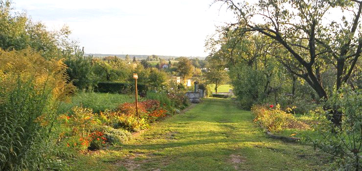 Deklarowali jeden wywóz śmieci w miesiącu, mają cztery za które płacą