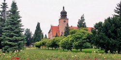 Anna Kulik, dyr. Departamentu GKiO o Regulaminie wywozu mieci w ogrodach dziakowych