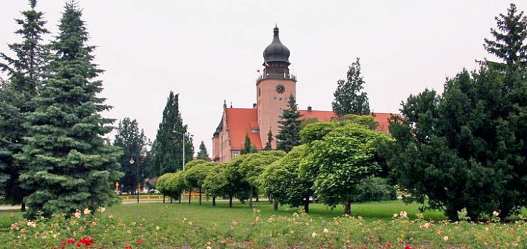 Anna Kulik, dyr. Departamentu GKiOŚ o Regulaminie wywozu śmieci w ogrodach działkowych