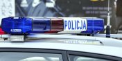 Zmasakrował psa młotkiem na oczach jego właścicieli. Grożą mu 3 lat pozbawienia wolności