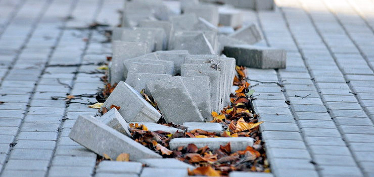 Partycypacja w elbląskim budżecie obywatelskim. By siły dorównały zamiarom