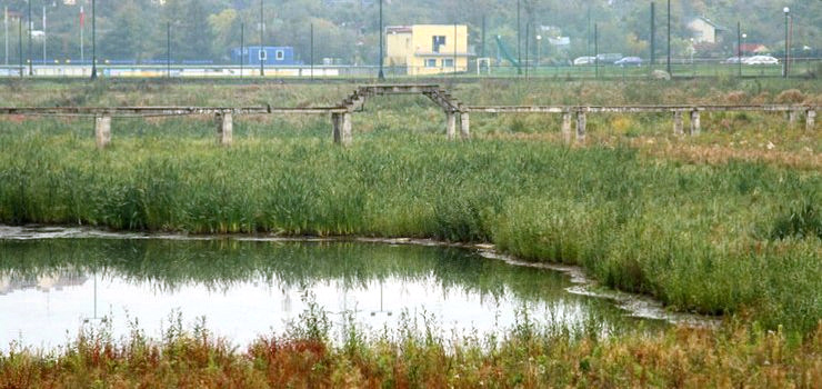 Mamy jeszcze 3 tygodnie na przygotowanie wniosku ws. basenu. Zdążymy?