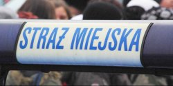 Chcia likwidacji stray miejskiej. Zatrzymali go za jazd po alkoholu