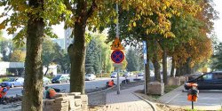 Sup "wyrs" na ciece rowerowej, bo chcieli ratowa kasztany