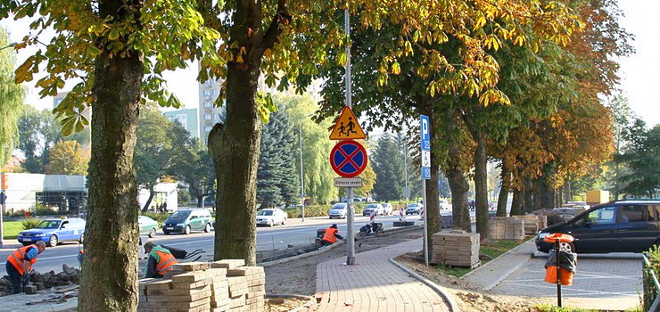 Słup "wyrósł" na ścieżce rowerowej, bo chcieli ratować kasztany