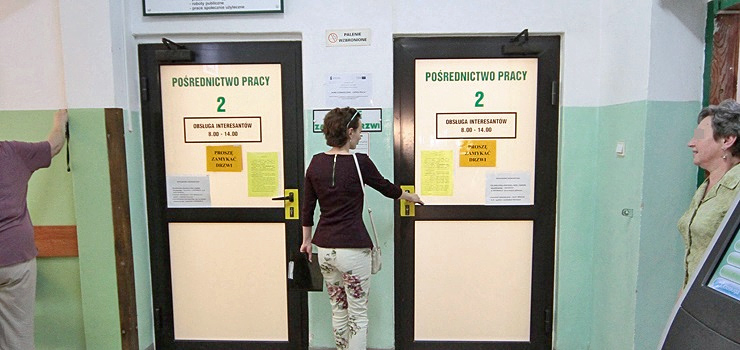 Zobacz, jakimi ofertami dysponuje Powiatowy Urząd Pracy w Elblągu