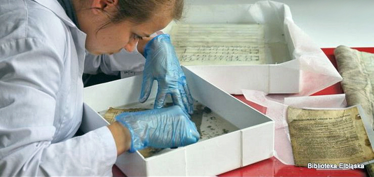 Skarby ze skrzyni czasu ujrzały światło dzienne. Zobacz zdjęcia znaleziska