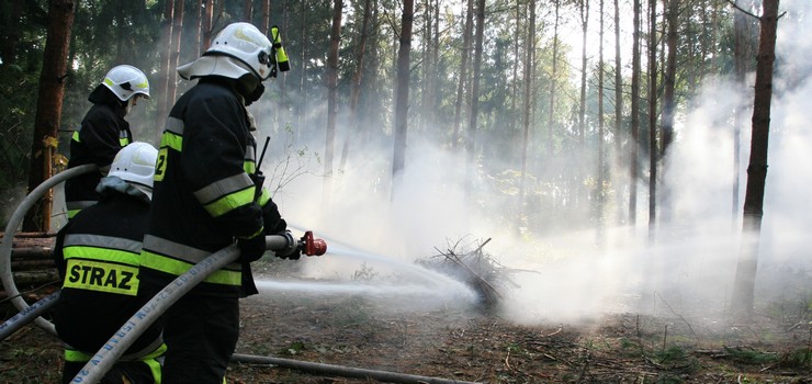Manewry Strażackie w Nadleśnictwie Elbląg