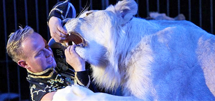 Cyrk Korona z gwiazdami "Mam Talent" zawita do Elbląga