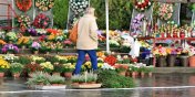 wiateko pamici, krlowe chryzantemy i stroiki. Droga pami o tych, ktrzy odeszli