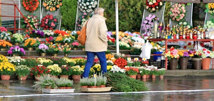Światełko pamięci, królowe chryzantemy i stroiki. Droga pamięć o tych, którzy odeszli