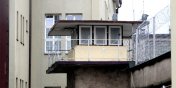Kadego dnia na ulice Elblga wychodzi ok. pidziesiciu winiw