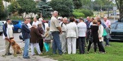 Czy suby miejskie reaguj na sugestie i problemy mieszkacw?