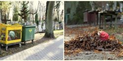 Jak to jest z segregacją śmieci na elbląskich cmentarzach?