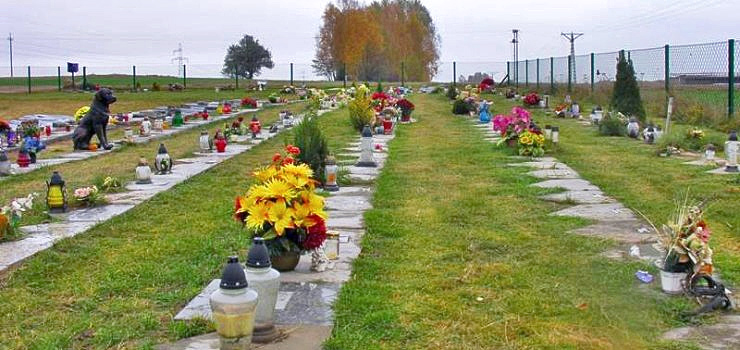 Śmierć zwierzaka. Co dalej: przydomowy ogródek, las, czy grzebowisko?