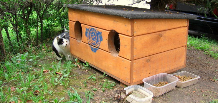 By nie było sąsiedzkich konfliktów wyprowadź koty z piwnic do domków