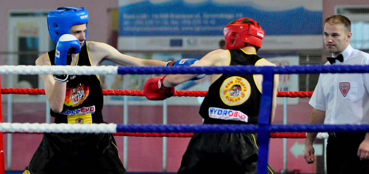 Bokserskie walki sparingowe i egzamin sędziowski już w sobotę w Elblągu