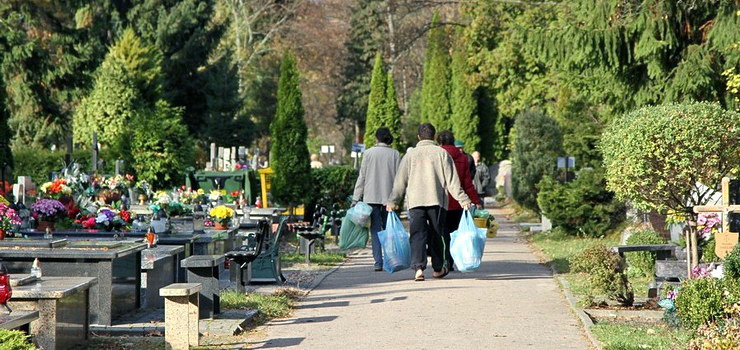 Poboczne alejki na elblskich cmentarzach nie bd utwardzane