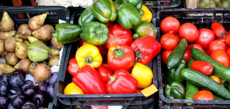 Bez mięsa, jajek, miodu, mleka - zobacz jak radzą sobie wegetarianie