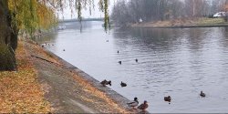 "Dwa wska�niki chemiczne zosta�y przekroczone (...) Stan biologiczny rzeki Elbl�g jest z�y"