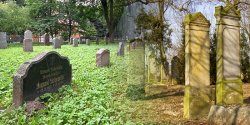 Cmentarz umiera? Rzecz o zapomnianych  "miastach zmar�ych"