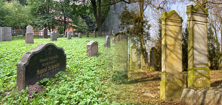 Cmentarz umiera? Rzecz o zapomnianych  "miastach zmarych"