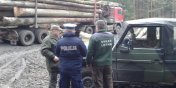 Kryptonim… „choinka”