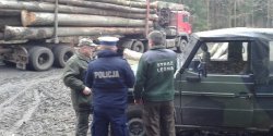 Kryptonim… „choinka”