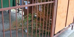 Mo�e do nas wr�ci� w postaci ciep�a lub pos�u�y� jako kompost. Tymczasem trafia na �mietnik