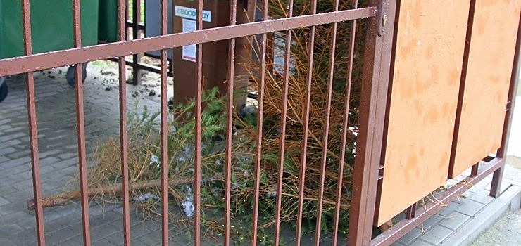 Może do nas wrócić w postaci ciepła lub posłużyć jako kompost. Tymczasem trafia na śmietnik