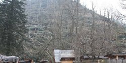 Redakcja info.elblag.pl na P� w Zakopanem. Zobacz zdj�cia po przej�ciu halnego