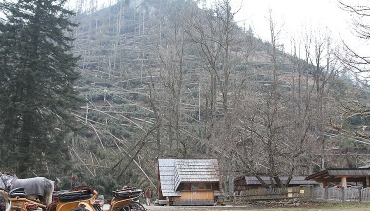 Redakcja info.elblag.pl na P w Zakopanem. Zobacz zdjcia po przejciu halnego