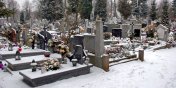 Elblskie cmentarze w sieci