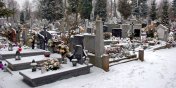 Elbląskie cmentarze w sieci