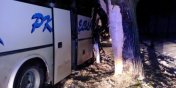 Autobus PKS relacji Elbląg-Poznań uderzył w drzewo. Są ranni
