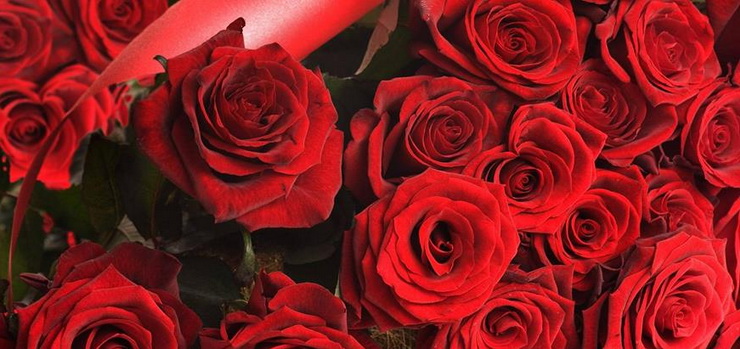 Prześlij życzenia i  wygraj bukiet na Walentynki
