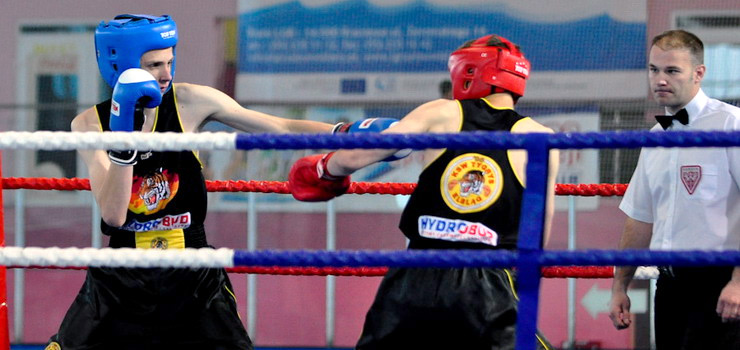 Dwa złote i brązowy medal pięściarzy KSW Tygrys