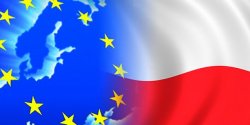 25 maja oddamy gosy na europosw