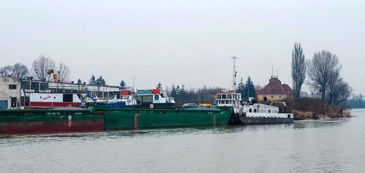 Śruta soi i pasze jeszcze w tym roku w elbląskim porcie?