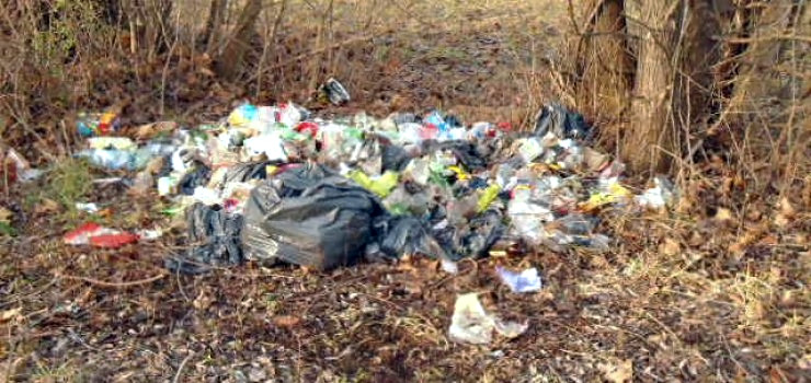 Nie zaśmiecaj – dbaj o czystość i porządek! Czas na wiosenne porządki