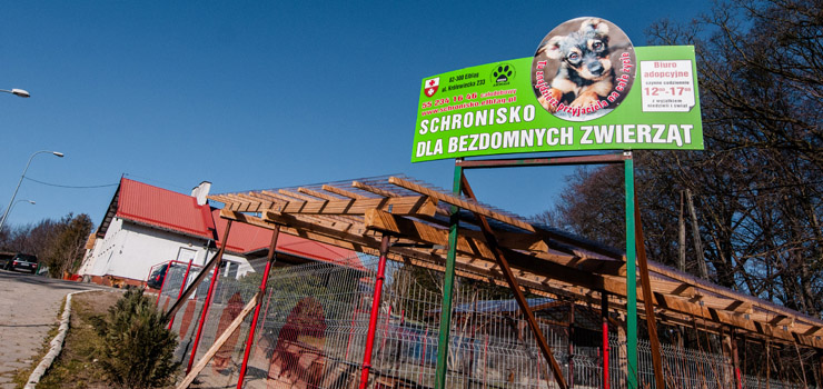 Zażądał odszkodowania, bo psy za głośno szczekają. Jak sprawa wygląda dziś?