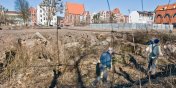 Trwaj prace porzdkowe pod budow kamienicy na Starym Miecie?