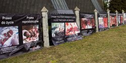 "Naszym celem nie jest szokowanie dla szokowania." Banery przeciw aborcji na bramie Ko�cio�a