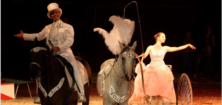 Cyrk Zalewski w Elblągu już w niedzielę - wygraj bilety!