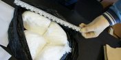 Prokuratura prowadzi spraw elblskiej grupy przestpczej. Podejrzanych jest 16 osb