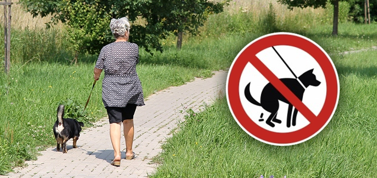 Zacznie się masowe sprzątanie po pupilach? Miasto ma to ułatwić